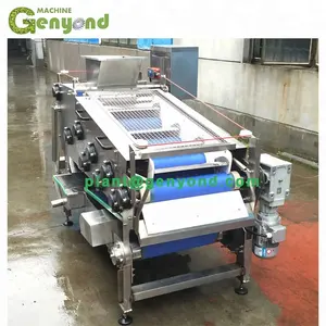 GYC Industria Belt Type Sugar Cane Sugarcane Apple Lemon Orange Fruit Vegetable Radish Juice Extractor With High Rate 75-83%