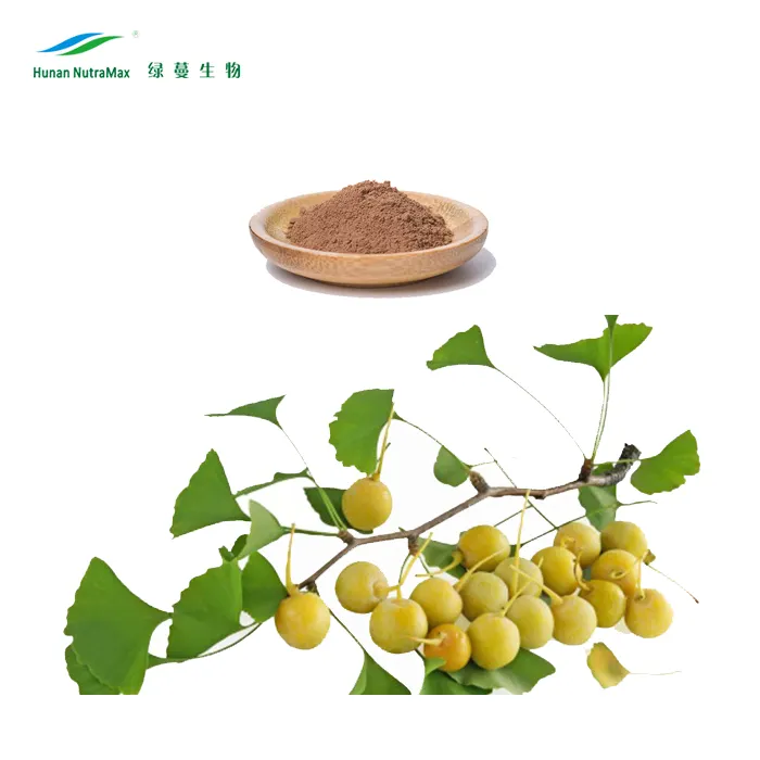 Ginkgo Biloba ekstraktı 24% Ginkgolides, 6% Ginkgo flavonoidler <1ppm,5ppm Ginkgo asit