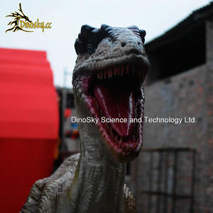 <span class=keywords><strong>Simulation</strong></span> <span class=keywords><strong>de</strong></span> modèles <span class=keywords><strong>de</strong></span> dinosaures mécaniques grandeur nature Velociraptor pour les parcs à thème Jurassic DINOSKY - Product Image 4
