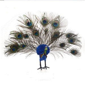 Decoración del hogar del tamaño grande Hobby Lobby plumas de pavo real - Product Image 1