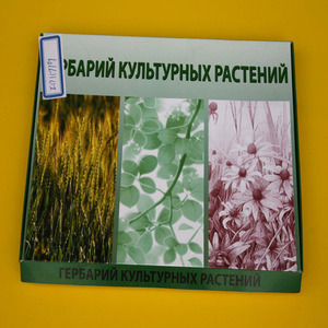Auxílios de ensino de biologia de alta qualidade, plantas cultivadas de herbílio - Product Image 3