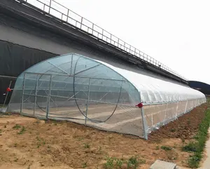 Basso Prezzo di Fabbrica Singolo-Span Tunnel Pellicola di Plastica a Effetto Serra per la Coltura Idroponica e Frutta di Impianto