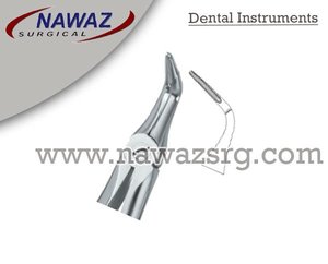 Forceps d'extraction dentaire Fig46 L Top Manuel Qualité Premium Certifié CE Logo Personnalisé Instruments Dentaires en Acier Inoxydable - Product Image 2