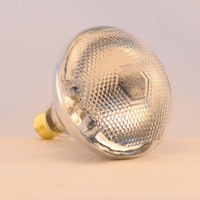 VENTE N°1 Lampe chauffante infrarouge en verre PAR38 250W pour animaux
