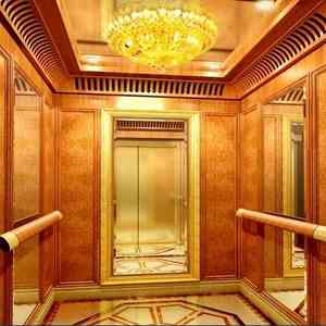 Harga Pabrik <span class=keywords><strong>Lift</strong></span> Rumah dan <span class=keywords><strong>Lift</strong></span> Villa Digunakan Di Rumah untuk Villa - Product Image 6