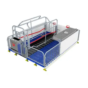 Thermisch Verzinken Varkenshouderij Apparatuur Verstelbare Kroeikratten Voor Varkens Nieuw Ontwerp 1800*2400 Mm 30 Mits Zeug Wincore