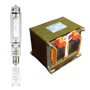 Balasto magnético para lámpara de pesca, fabricante chino, <span class=keywords><strong>1000W</strong></span>