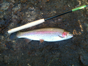 Canne à Pêche à la Mouche Réglable <span class=keywords><strong>Tenkara</strong></span> en Nano Résine de Carbone - Product Image 2