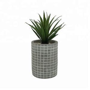 Petits <span class=keywords><strong>Cactus</strong></span> et Succulentes Artificiels en Plastique, Adorables Plantes Succulentes en Pot de Ciment, Durables et Réalistes - Product Image 1