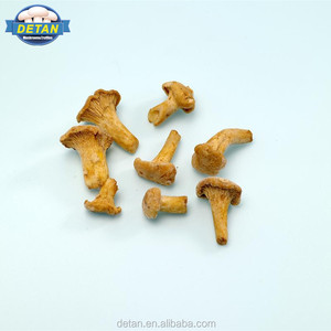 Detan Girolles Surgelées/Noms de Champignons - Product Image 1