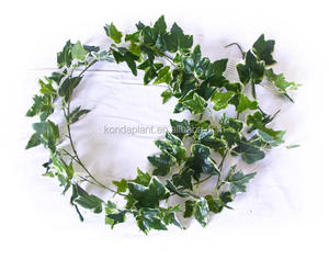 Venta caliente de la boda decorativo de la pared cuelgan hiedra hiedra artificial al por mayor - Product Image 1