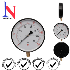 Naite 제조업체 공급 고품질 압력 게이지 압력계 - Product Image 4