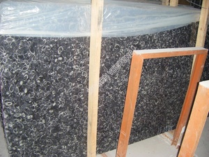 Đá Cẩm Thạch Đen Độc Đáo Đá Vỏ Rạn San Hô Có Hoa Văn Hàng Đầu Đá Cẩm Thạch Đen - Product Image 3