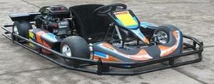 100cc Người Lớn Điện Đi Kart - Product Image 4