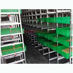 Système de culture de germes d'<span class=keywords><strong>orge</strong></span> de type conteneur |   Solution d'alimentation hydroponique pour les fermes - Product Image 6