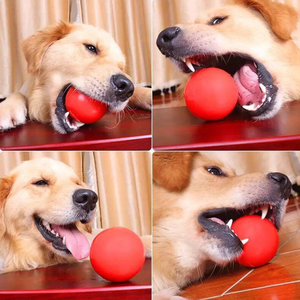 Hot Bán Vật Nuôi Cắn Rắn Đào Tạo Chó Đỏ Nhai Bóng TPR Bouncy Bóng Đào Tạo Vật Nuôi Đồ Chơi Balls - Product Image 3