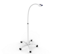 Machine de blanchiment des dents, Laser Portable à lumière, approuvé CE, pour le blanchiment des dents