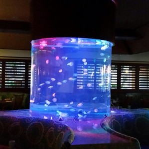 Tabung Akuarium Tangki Ikan Akrilik Lampu <span class=keywords><strong>Led</strong></span> Plastik Kualitas Tinggi