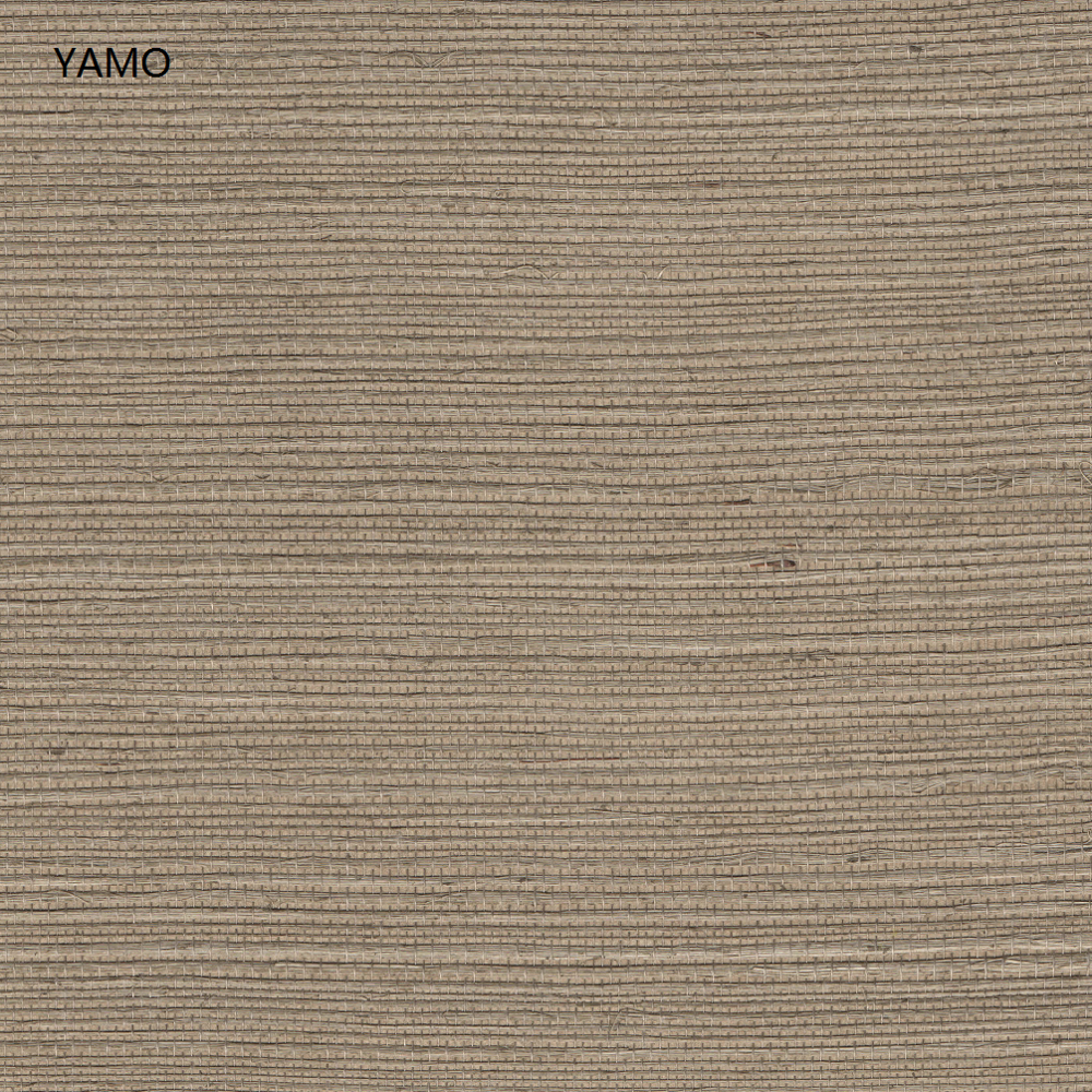 Y5-H05