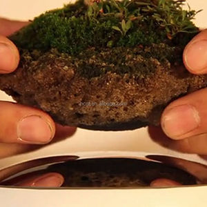 Vietnam macetas de bonsai bonsai <span class=keywords><strong>estante</strong></span> plástico volar en el aire - Product Image 3