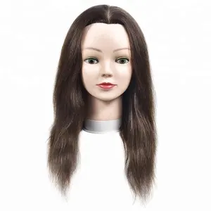 Dream.Iceのプロの大学の人形の頭人間の髪の理髪トレーニングヘッド自然な髪のアフロマネキンヘッド