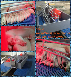 Thiết Bị Trang Trại Lợn/Dự Án Trang Trại Lợn - Product Image 2