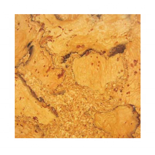 CT044 плитка 6,0 мм толщина x 290 мм ширина x 290 мм длина клей вниз пробковая напольная плитка