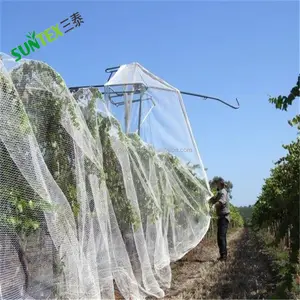 plastic anti bird mesh for gardening roll/nylon bird netting lowes/bird nets for sale