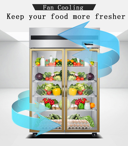 Refrigerador comercial <span class=keywords><strong>de</strong></span> cocina vertical con puerta <span class=keywords><strong>de</strong></span> cierre automático <span class=keywords><strong>de</strong></span> nuevo estilo con <span class=keywords><strong>precio</strong></span> <span class=keywords><strong>de</strong></span> fábrica (HG1.0L2F) - Product Image 2