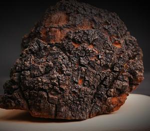 खरीदने 500g सच कच्चे नई स्वास्थ्य शीर्ष superfood chaga चाय बिक्री के लिए लाभ - Product Image 2