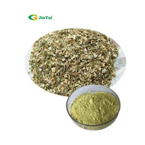 Chiết Xuất Từ Ngọt Lenurus Heterophyllus 10:1 Wild Dagga Leonotis <span class=keywords><strong>Leonurus</strong></span> Chiết Xuất Từ Marihuanilla <span class=keywords><strong>Leonurus</strong></span> Sibiricus - Product Image 1