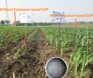 Polímero superabsorbente para agricultura, <span class=keywords><strong>hidrogel</strong></span> de poliacrilato de sodio para plantas, cristales absorbentes de <span class=keywords><strong>agua</strong></span> - Product Image 6