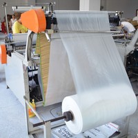 Sacs d'Emballage Plats en Plastique Transparent PE/HDPE Soudables à Chaud pour Stockage Alimentaire