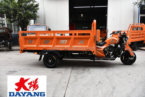 Hot chinois DAYANG trois roues motorisé cargo tricycle à vendre en algérie - Product Image 2