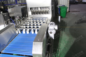 Leadworld Fruit Peeling <strong>Machine</strong> <strong>Orange</strong> Peeler <strong>Machine</strong> - Product Image 5
