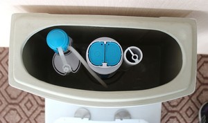 Asientos de Inodoro Sifónicos de Una Pieza Económicos para Niñas - Product Image 6