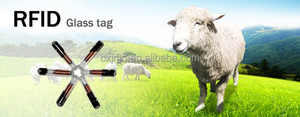 <span class=keywords><strong>La</strong></span> información <span class=keywords><strong>de</strong></span> IDENTIFICACIÓN <span class=keywords><strong>de</strong></span> animales implante RFID tag vidrio, <span class=keywords><strong>marca</strong></span> auricular <span class=keywords><strong>de</strong></span> los animales para <span class=keywords><strong>la</strong></span> vaca - Product Image 4
