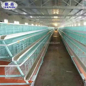 Anping Shuxin good quality poultry equipment in farm for chicken egg layer cages