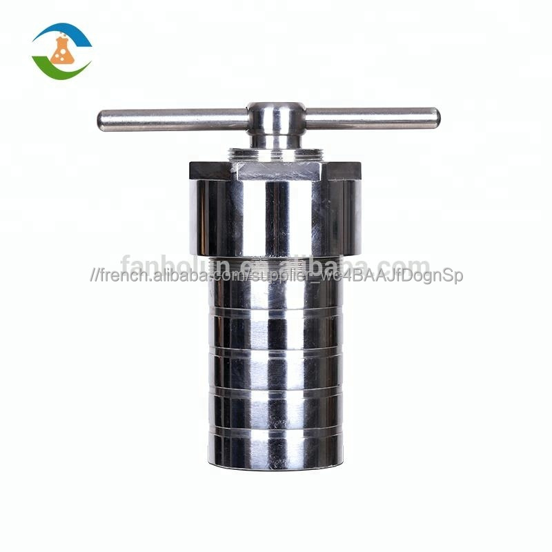 Téflon Hydrothermale Synthèse Autoclave Réacteur
