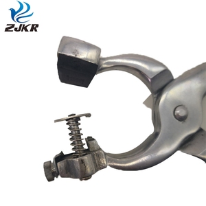 CETTIA Pince à tatouer pour cochon en acier inoxydable Pince à épine d'oreille Applicateur vétérinaire de chèvre Pince à tatouer pour piercing - Product Image 2