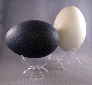 Forma de la flor de Acrílico Huevo Expositores Titulares Bastidores - Product Image 2