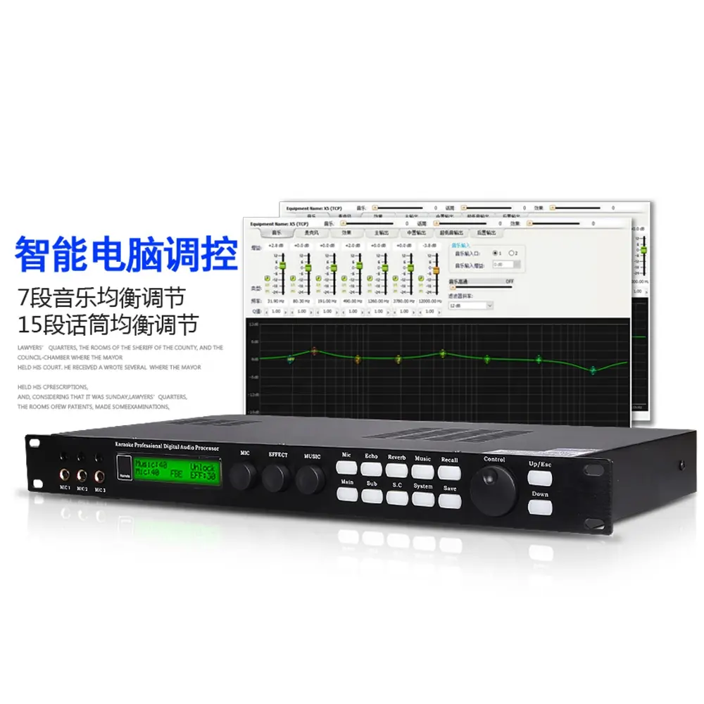 Depusheng X5 전문 KTV 오디오 시스템 가라오케 디지털 효과 프로세서