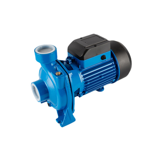 Pompe à eau électrique 1 CV DTM-18 pour le nettoyage de la maison et du jardin, centrifuge à simple étage, surpression, longueur de câble personnalisée - Product Image 5