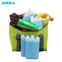 Pack de gel réfrigérant mini 200 ml en plastique pour glacière