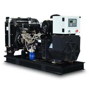 Prezzo basso raffreddato ad acqua YTO yangdong 10kw 12kva generatore diesel set con brushless dinamo