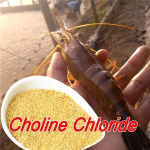 Geflügel futter zusatz Vitamin B4 Cholin chlorid von China Supplier