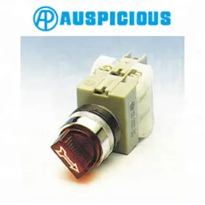 22mm, 25mm, 30mm Illuminated Selector Switch 2 or 3 Position (NISS)