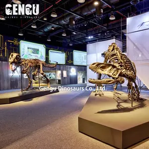 Esqueleto de dinossauro Atraente Equipamentos de Simulação Esqueleto de Dinossauro