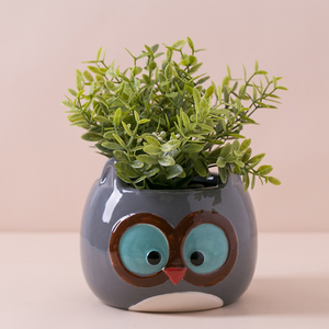 Macetas y jardineras decorativas de cerámica para jardín, diseño de búho pequeño de dibujos animados, suculentas - Product Image 1