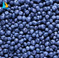 IQF - Frozen Blueberry, Export Price
